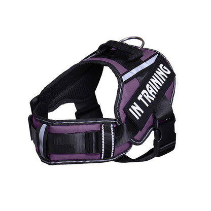 Neck Support Dog Harness with Reflective Pet Chest Harness and Leash, Direct Factory Supply Dog Lead and Pet Leash