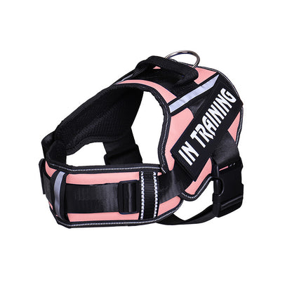 Neck Support Dog Harness with Reflective Pet Chest Harness and Leash, Direct Factory Supply Dog Lead and Pet Leash
